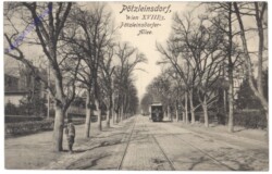 Wien 18, Pötzleinsdorf, Allee