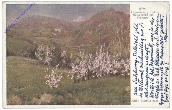 Wien 19, Leopoldsberg und Kahlenberg im Frühling