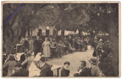 ak140052 Wien 19, Weinhaus Pepi Manhart