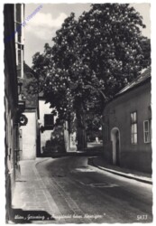 Wien 19, Grinzing "Ausgsteckt beim Heurigen"