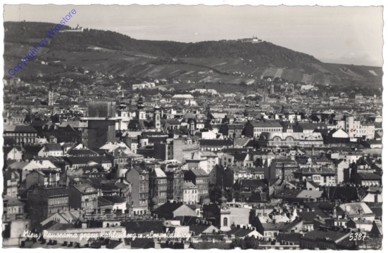 Wien 19, Panorama gegen Kahlenberg u. Leopoldsberg