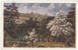 Wien 19, Kahlenberg und Krapfenwaldl