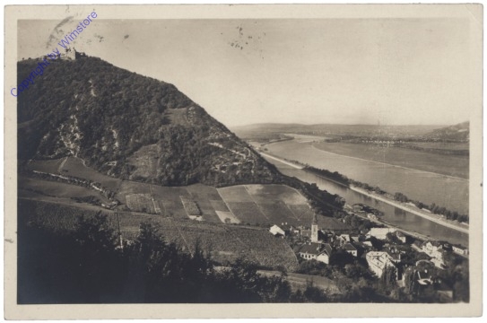 Wien 19, Große Donau bei Wien mit Leopoldsberg und Kahlenbergerdorf