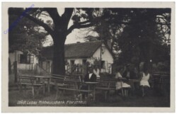 Wien 22, Städt. Lobau, Milchausschank Forsthaus