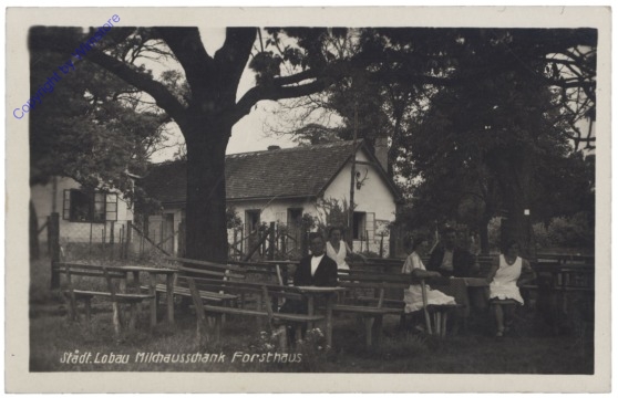 ak140377 Wien 22, Städt. Lobau, Milchausschank Forsthaus