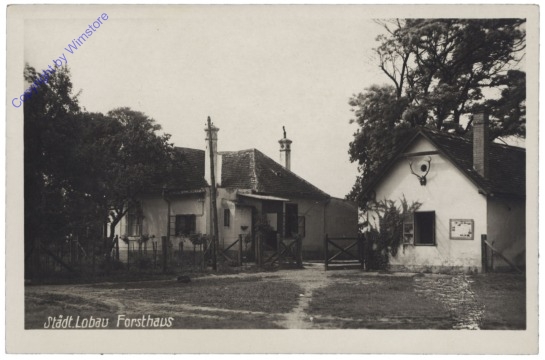 ak140378 Wien 22, Städt. Lobau, Forsthaus