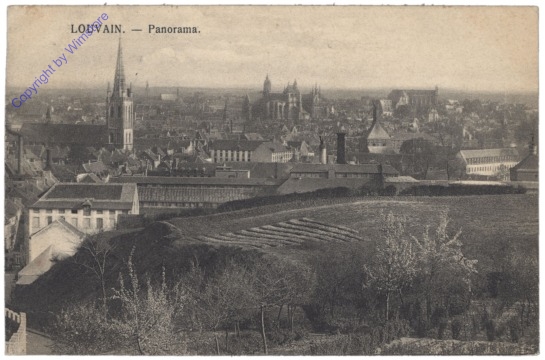 Louvain, Panorama