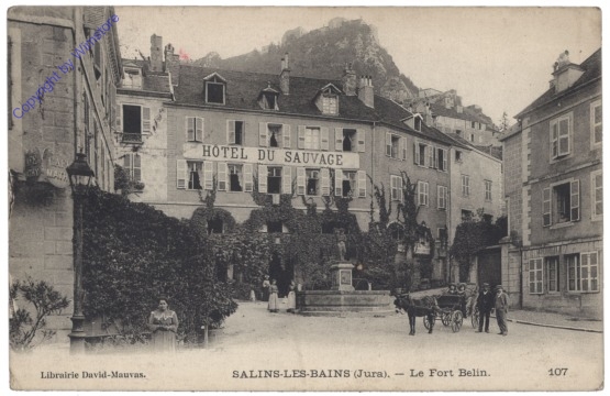 Salins-Les-Bains (Jura), Le Fort Belin