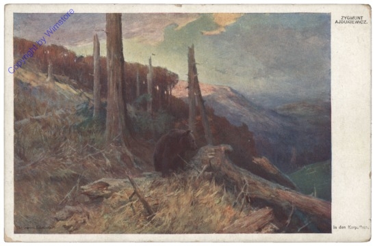 Zygmunt, Ajdukiewicz