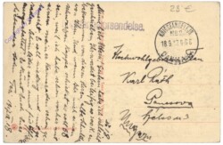 Viborg, Udsigt vad Hald