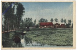 Mooi, Nederland