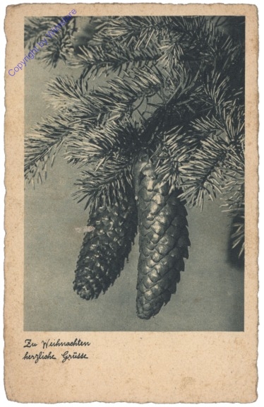 Zu Weihnachten herzliche Grüße