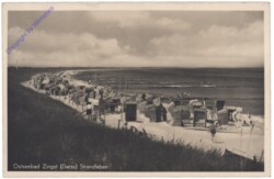 Ostseebad Zingst, Strandleben
