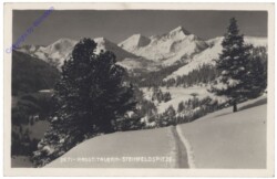 Radst. Tauern, Steinfeldspitze