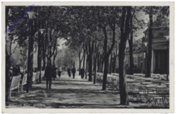 Altheide Bad, Kurplatz