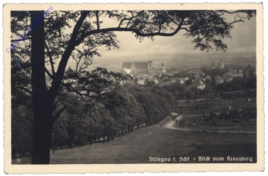 ak141113 Striegau, Blick vom Kreuzberg