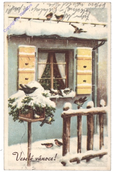 Vögel vor dem Fenster