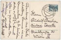 Kinder finden Fliegenpilze und Kleeblätter im Schnee