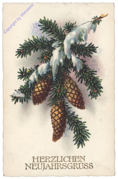 Zweig mit Zapfen und Schnee