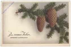 Zweig mit Zapfen