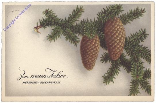 Zweig mit Zapfen
