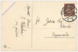 Zweig mit Zapfen