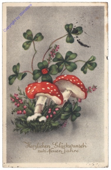 ak141184 Fliegenpilze und Klee
