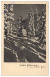 Winterlandschaft