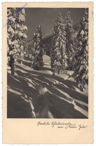 Winterlandschaft