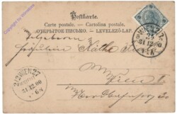 Dame mit Karre voll Schweinen