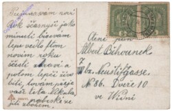 ak141256a Rauchfangkehrer mit Ferkel