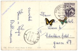 Rauchfangkehrer mit Ferkel