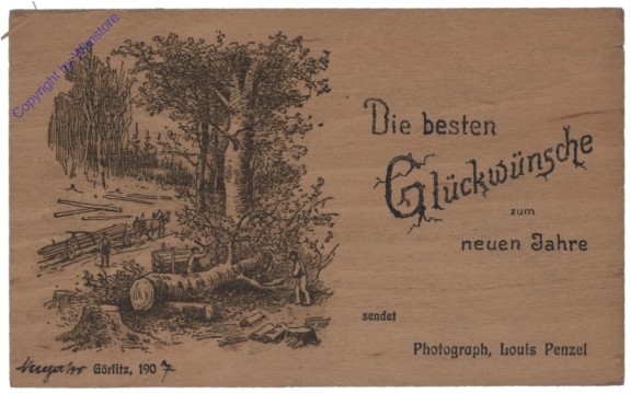 ak141275 Holzkarte 1907