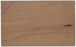 ak141275a Holzkarte 1907