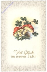 Fliegenpilze