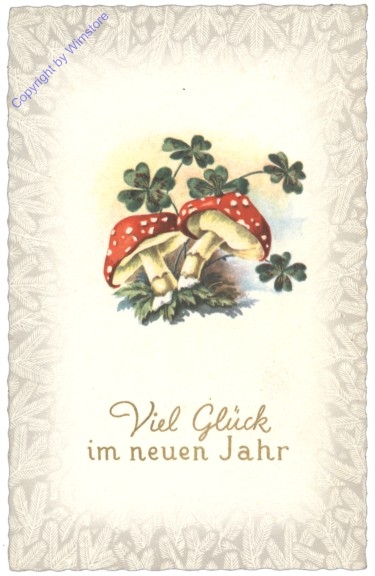 Fliegenpilze