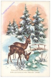 ak141300 Rehe im Winterwald