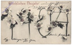 Jahreszahl aus Blumen 1904