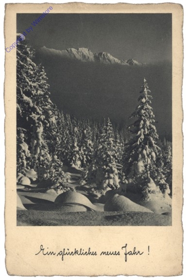Verschneite Landschaft