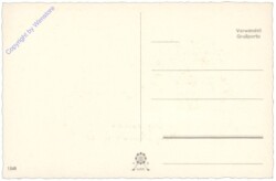 ak141347a Laterne und Zweige
