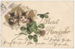 Katzen mit Kleeblätter