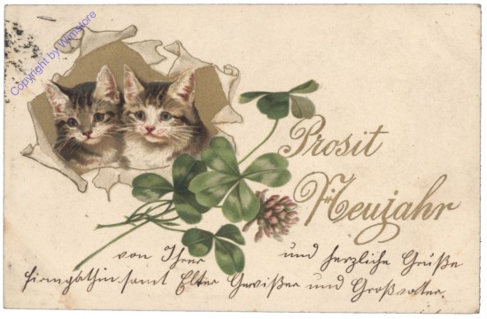 Katzen mit Kleeblätter