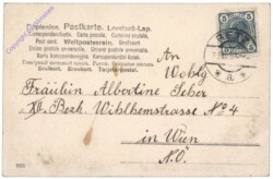 Kind steht auf einem Kleeblatt