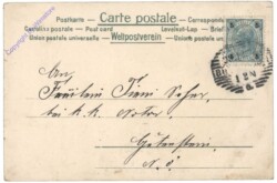 Rauchfangkehrer mit Schwein