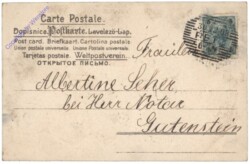 Rauchfangkehrer mit Stoffkleeblatt