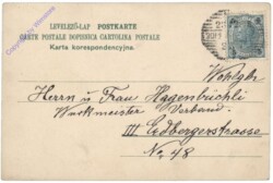 Dame mit Ferkel an der Leine