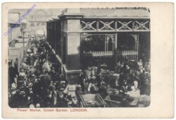 London, Flower Market, Covent Garden