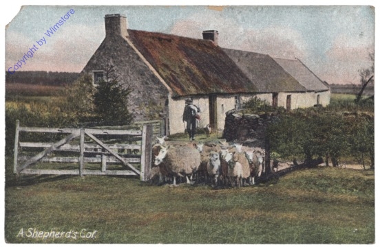 London, A Shepherd's Col.