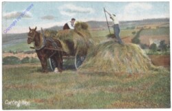 London, Carting Hay