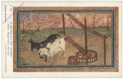 London, British Museum, Ox and Mule at a Well; and Bees